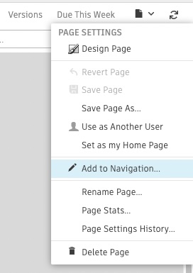 Adding custom pages to the project menu