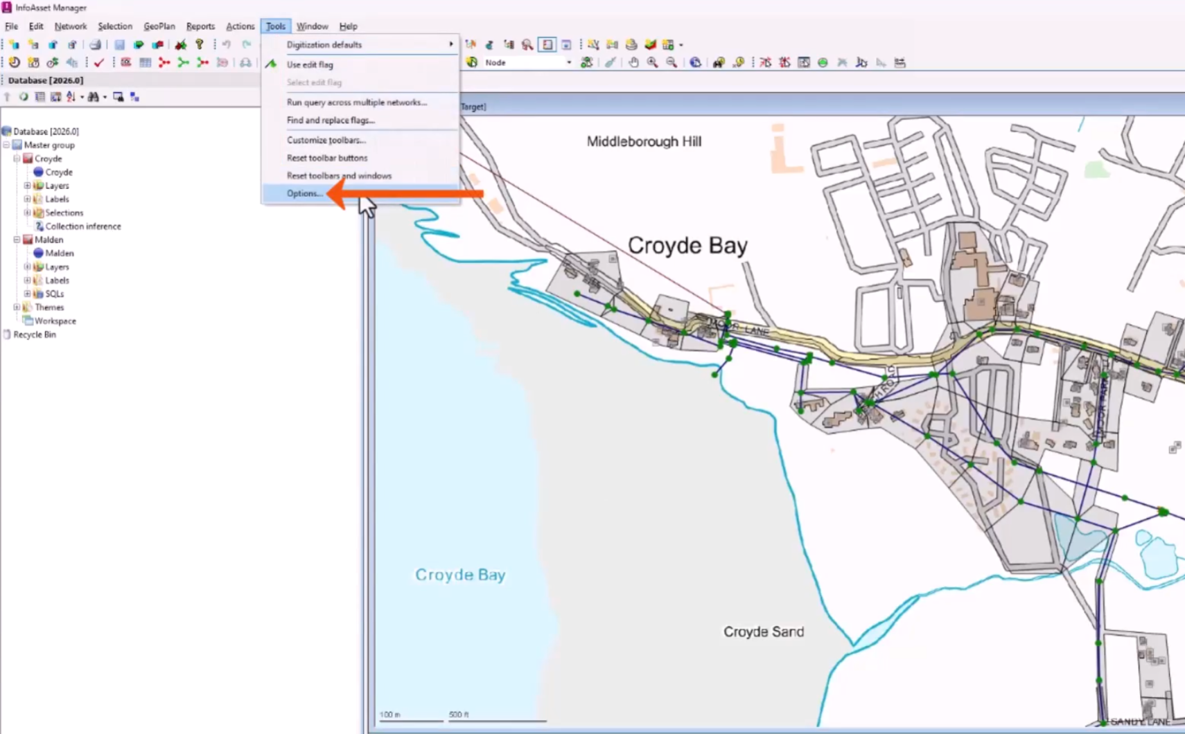 In the InfoAsset Manager interface, the Tools menu expanded, with Options being selected and called out with a red arrow.