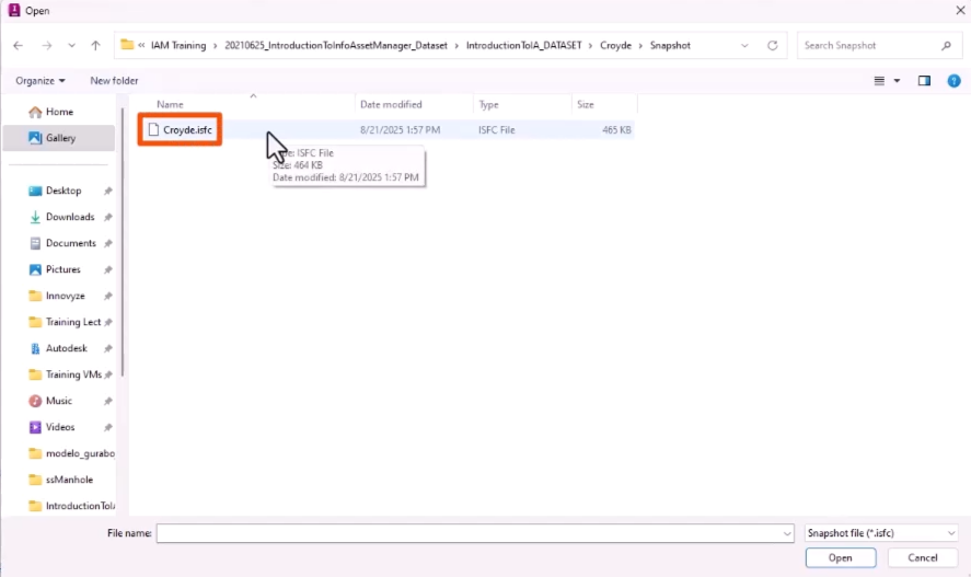 The Open dialog, with the collection network file selected and highlighted in red.