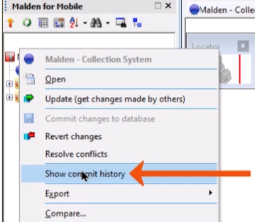 The Explorer window, with the context menu for the network expanded, and Show commit history being selected and called out with a red arrow.