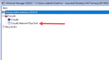 The Explorer view for the transportable database, with the Croyde Network Pipe Grid workspace included in the database.