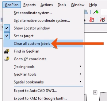 The GeoPlan menu expanded, with Clear all custom labels being selected and called out with a red arrow.