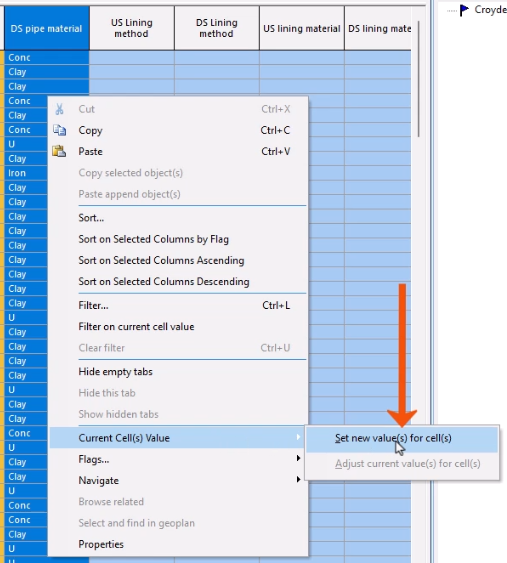 In the context menu for the DS pipe material column, Current Cell(s) Value selected, and in the flyout, Set new value(s) for cell(s) being selected and called out with a red arrow.