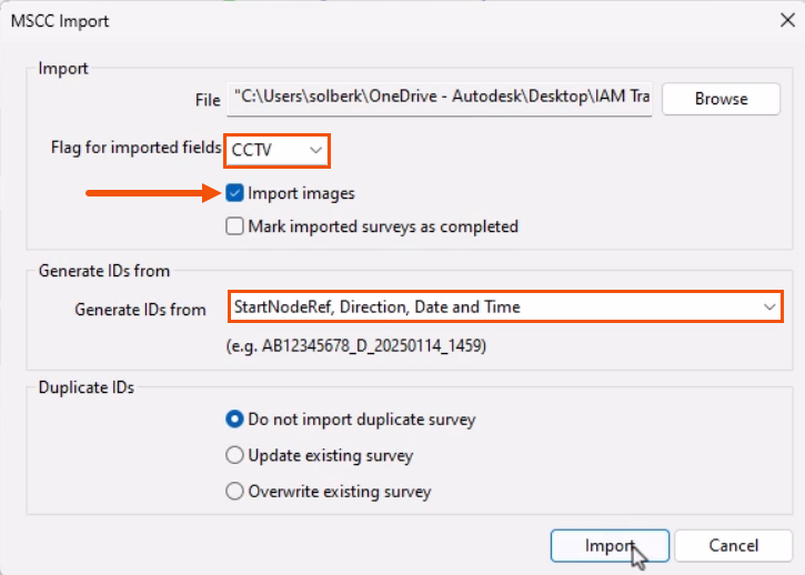 In the MSCC Import dialog, settings configured for this example and highlighted in red, with Import being selected.
