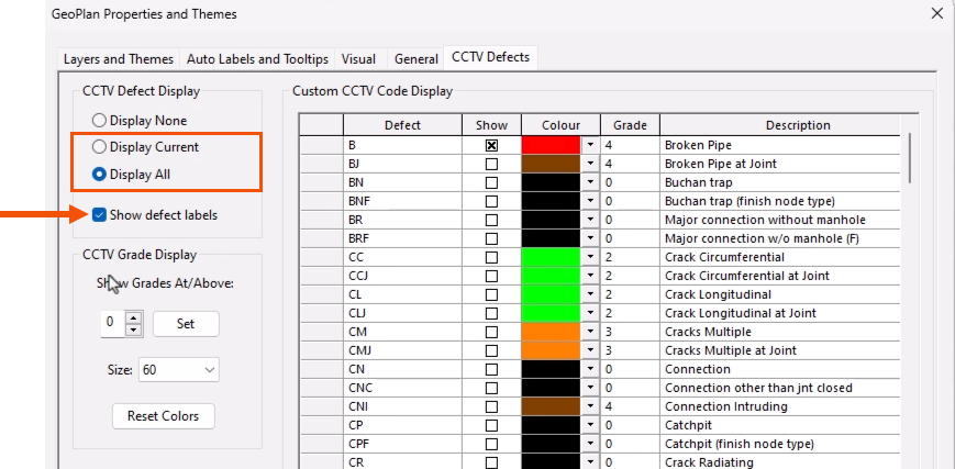 In the GeoPlan Properties and Themes dialog, Display Current and Display All highlighted in red, and Show defect labels selected and called out with a red arrow.