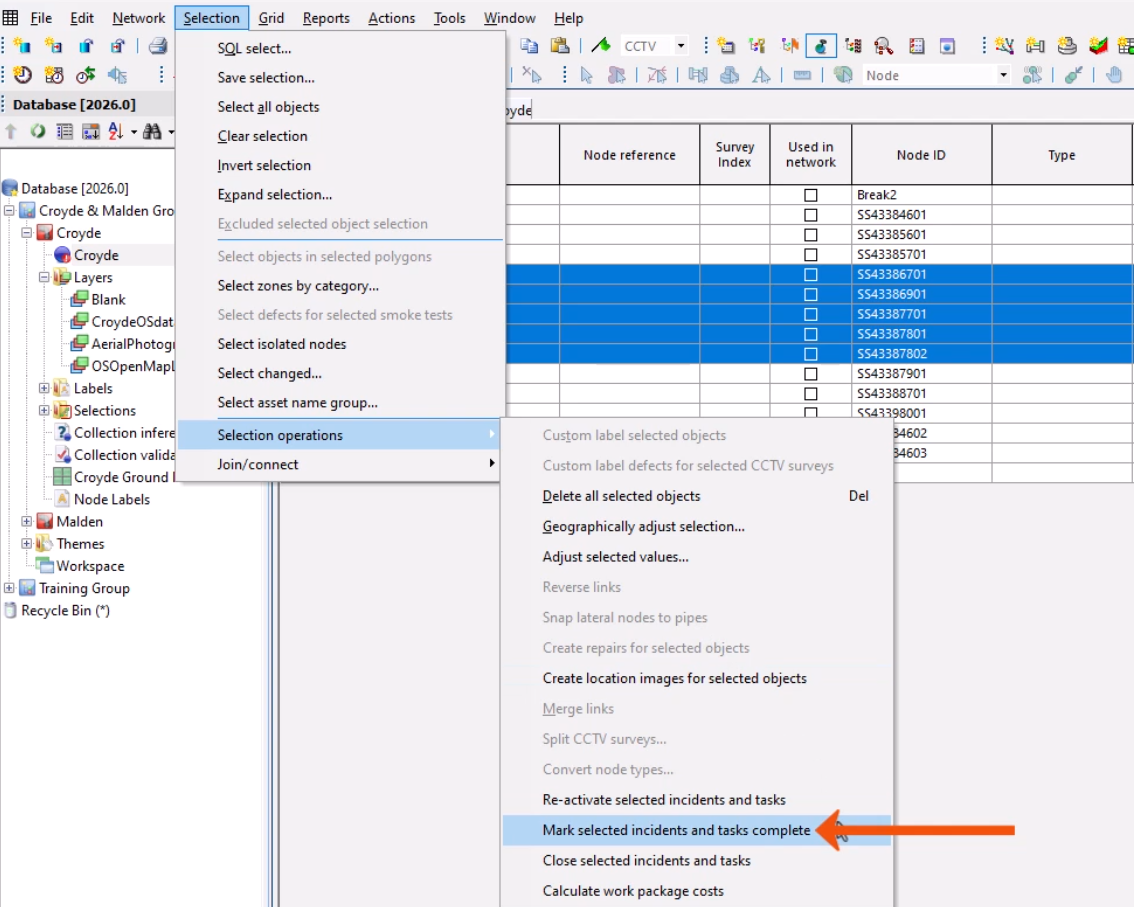 In the grid window, several tasks selected, and in the Selection menu, Mark selected incidents and tasks complete highlighted.