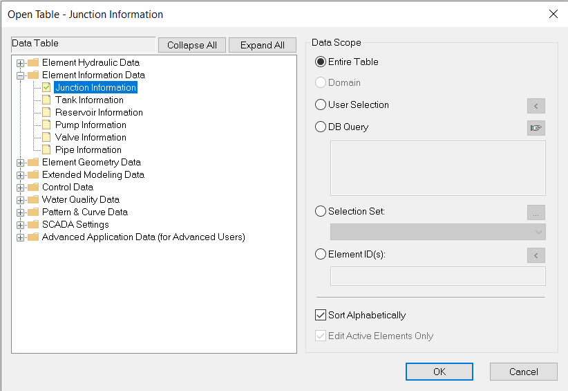 The Open Table - Junction Information dialog box open, with the Data Table folder tree active and the Element Information folder expanded, and with Junction Information selected