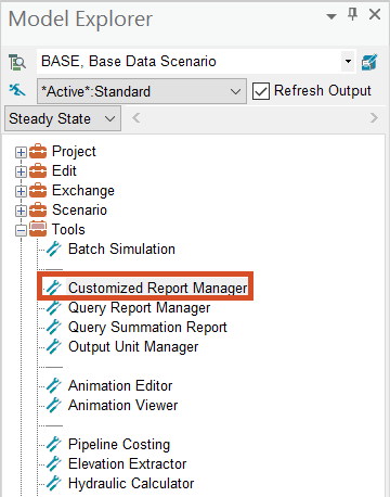 The Model Explorer, Command Center tab, Tools folder expanded with Customized Report Manager highlighted