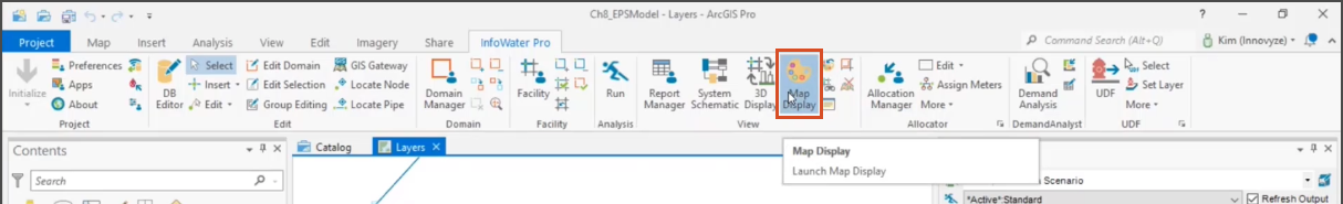 The ribbon, InfoWater Pro tab, View panel, with Map Display being selected