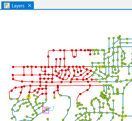 The network map, with the group of selected features that make up the enlarged domain highlighted in red