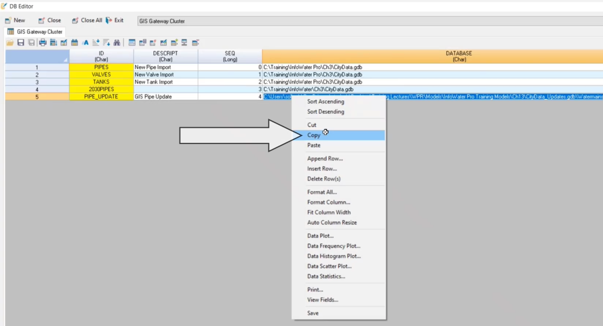 The DB Editor, with the Database column width expanded, the PIPE_UPDATE file path selected, the submenu displayed, with Copy selected and called out.