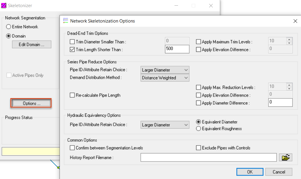 The Skeletonizer, with the Options button highlighted in red, and the open Network Skeletonization Options dialog box.