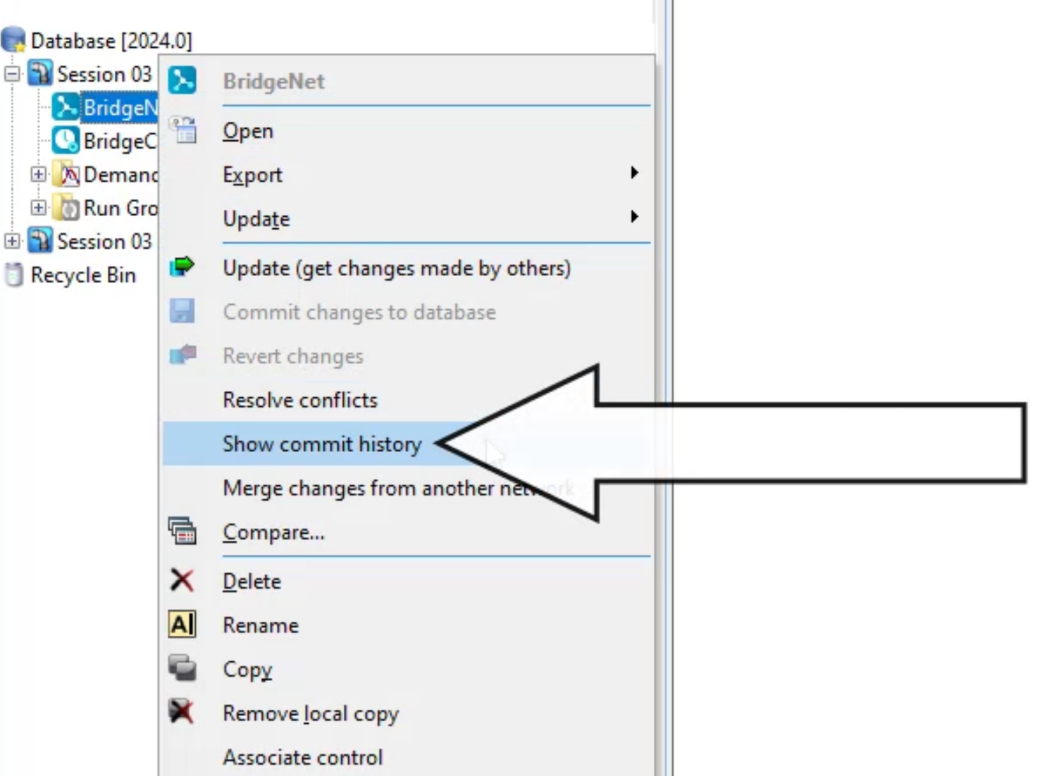 The BridgeNet shortcut menu, with Show commit history selected and called out.