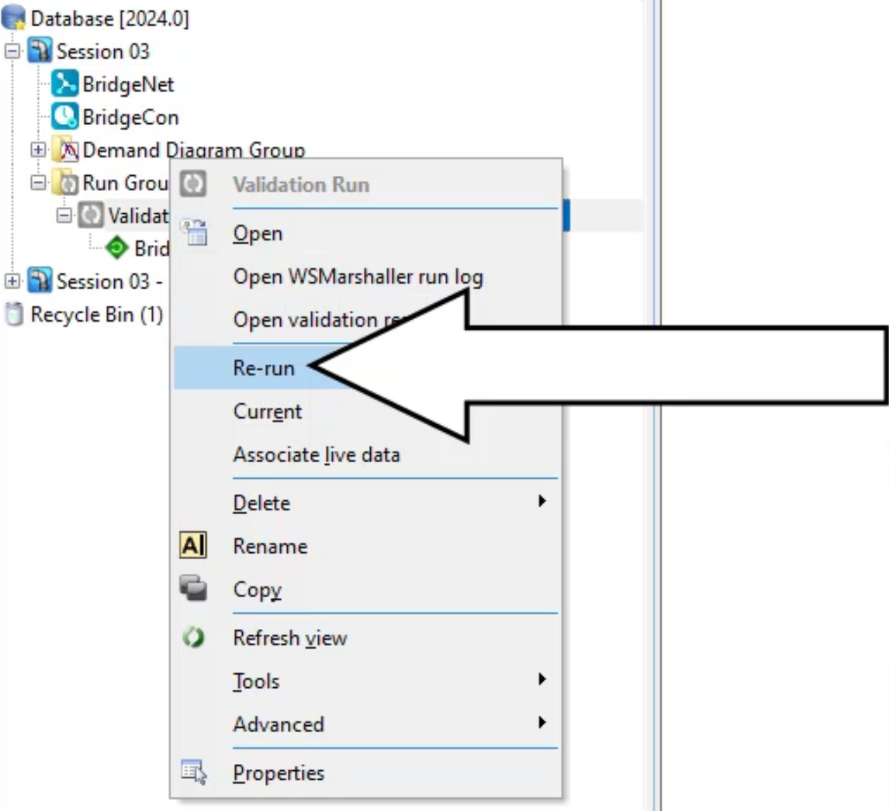 The Model Group window with the Validation Run shortcut menu displayed and Re-run selected and called out.