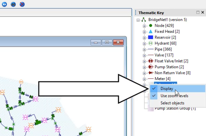 In the Thematic Key, the Polygons drop-down with Display highlighted for deselection.